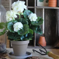Pelargonia ruukussa kermanvalkoinen 34 cm