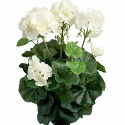 Pelargonia tekokukka 35 cm – useita värejä