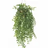 Pilea tekokasvi 35 cm