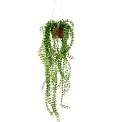 Pilea tekokasvi 55 cm