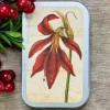 Piparminttupastillit Amaryllis