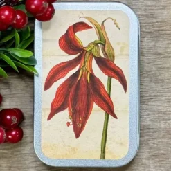 Piparminttupastillit Amaryllis