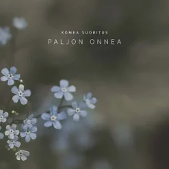 Postikortti Komea Suoritus Paljon Onnea