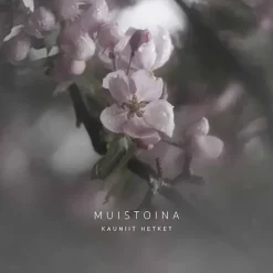 Postikortti Muistoina kauniit hetket
