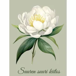 Postikortti Suuren suuri kiitos