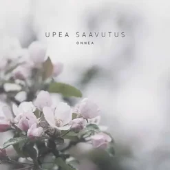 Postikortti Upea Saavutus Onnea