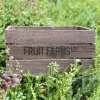 Puulaatikko Fruit Farms