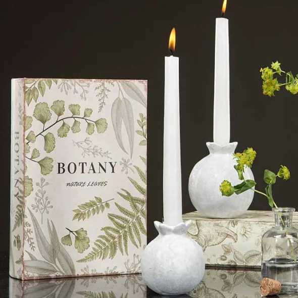 Rasia kirjan mallinen Botany