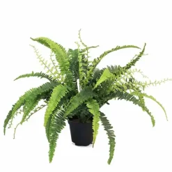 Saniainen tekokasvi 40 cm