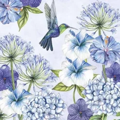 Servetti Kolibri
