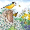 Servetti Lintu ja perhoset
