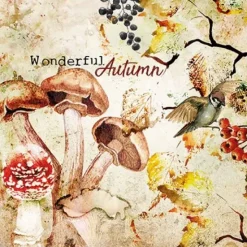 Servetti Wonderful autumn