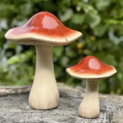 Sienikoriste 21 cm punaruskea