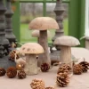 Sienikoriste 12,5 cm puuta