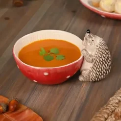 Siili ja kärpässieni kulho