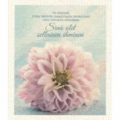 Sinä olet sellainen ihminen tiskirätti
