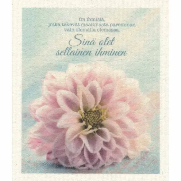 Sinä olet sellainen ihminen tiskirätti
