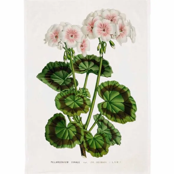 Sköna Ting Keittiöpyyhe Pelargonia