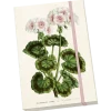 Sköna Ting Muistikirja Pelargonia