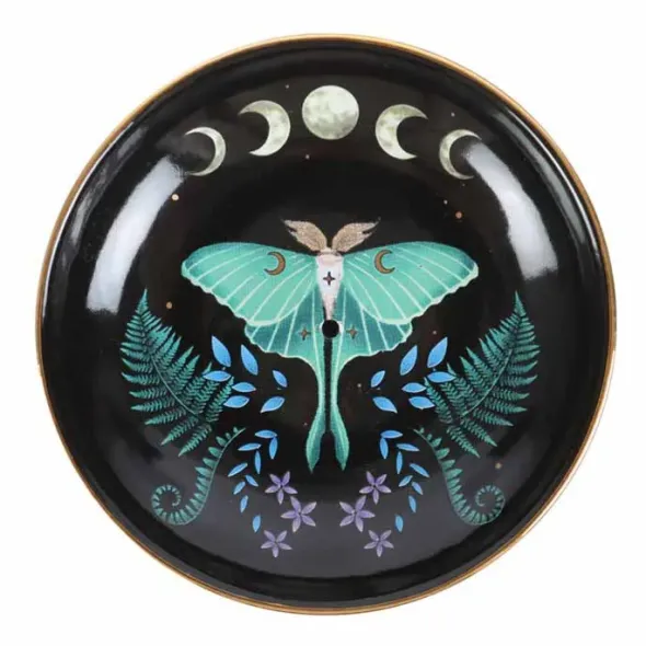 Suitsuketeline Luna Moth