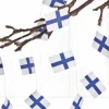 Suomen lippu -köynnös 4 m