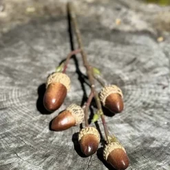 Tammenterhot koristeoksa 30 cm