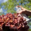 Tekokukkien UV-suojasuihke 200 ml