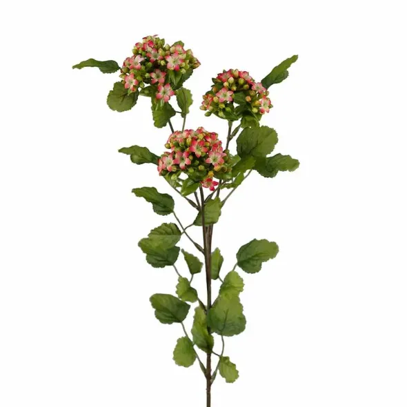 Tulilatvaoksa punavihreä 65 cm