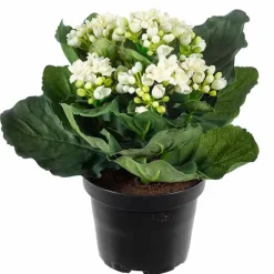 Tulilatva tekokukka 20 cm – useita värejä