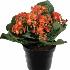 Tulilatva tekokukka 20 cm – useita värejä