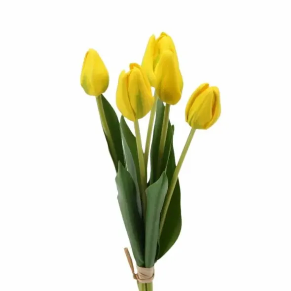 Tulppaanikimppu 40 cm – kaksi väriä