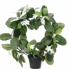 Tuoksuköynnöskranssi ruukussa 40 cm