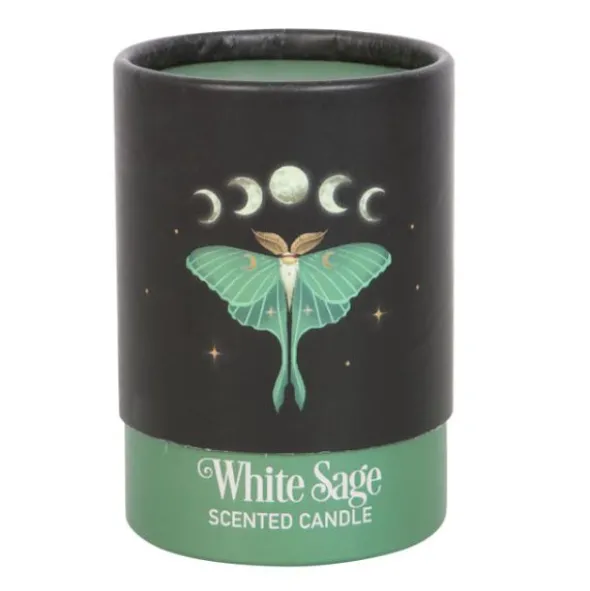 Tuoksukynttilä Luna Moth salvia