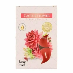 Tuoksulämpökynttilä Cactus Flower 6 kpl