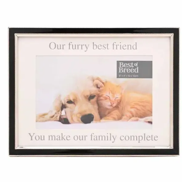 Valokuvakehys Our Furry Best Friend