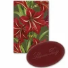 Vierassaippua Amaryllis 25 g