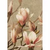 Vintage postikortti Magnoliat