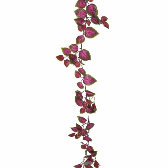 Värinokkonen köynnös 160 cm